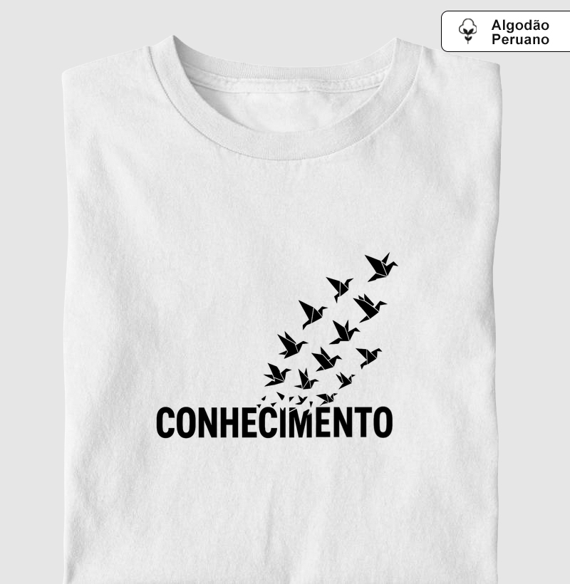 Professor Voar pelo Saber