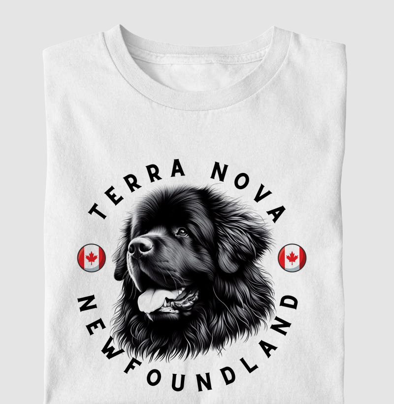 Terra Nova