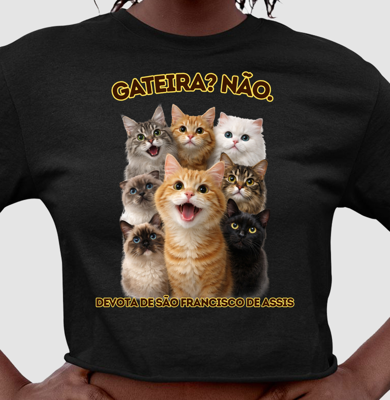 GATEIRO? NÃO. DEVOTO DE SÃO FRANCISCO DE ASSIS