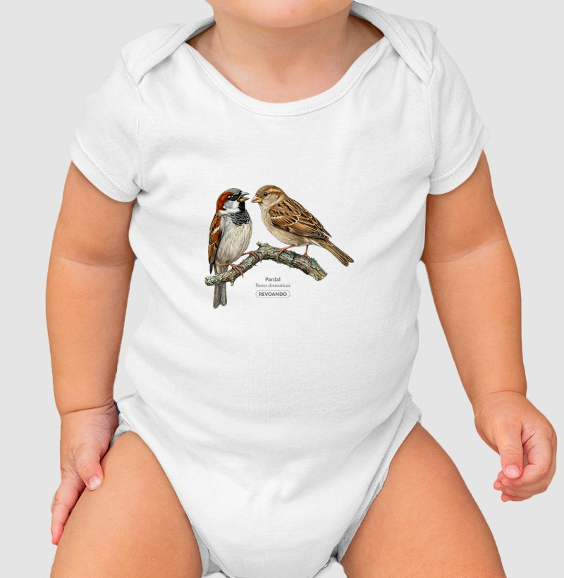 Traços Alados - Pardal - Body Infantil