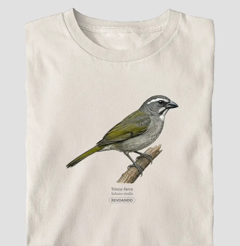 Traços Alados - Trinca-ferro - Oversized