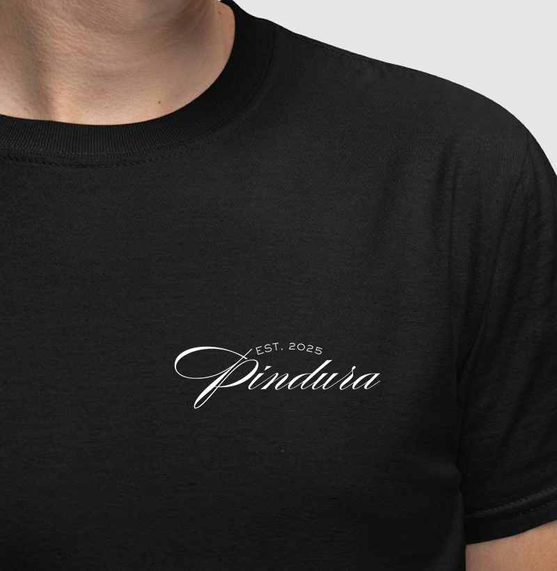 Camiseta Pindura 25