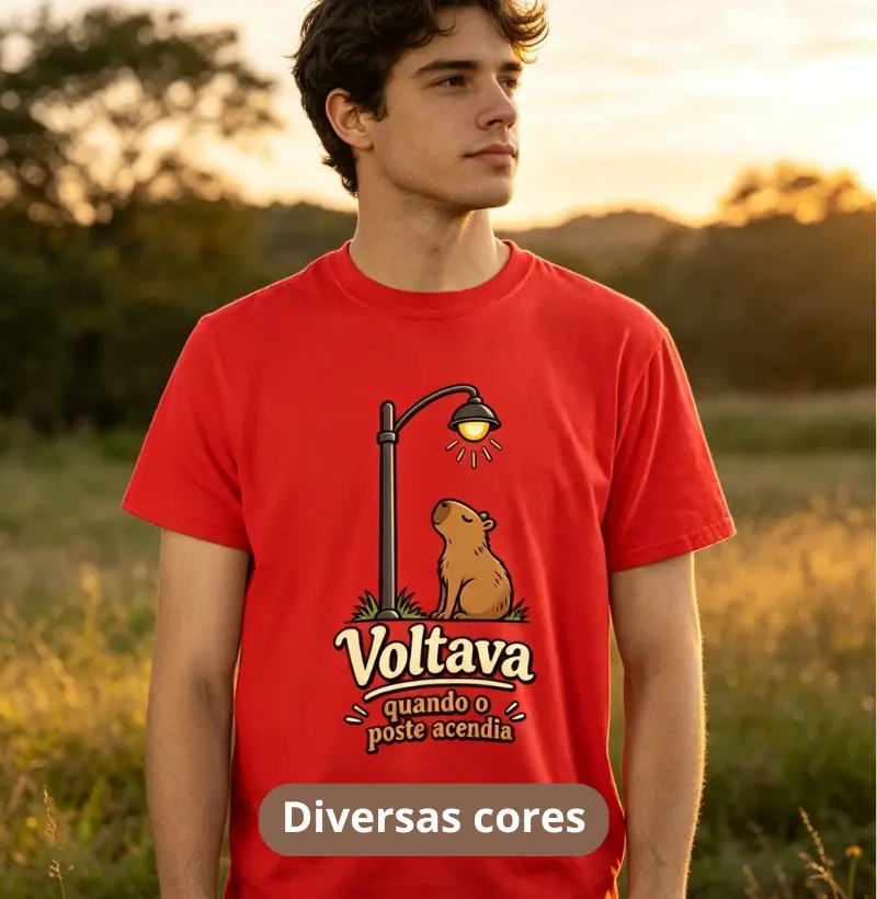 VOLTAVA QUANDO O POSTE ACENDIA