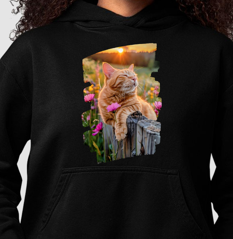 Gato Laranja no Pôr do Sol