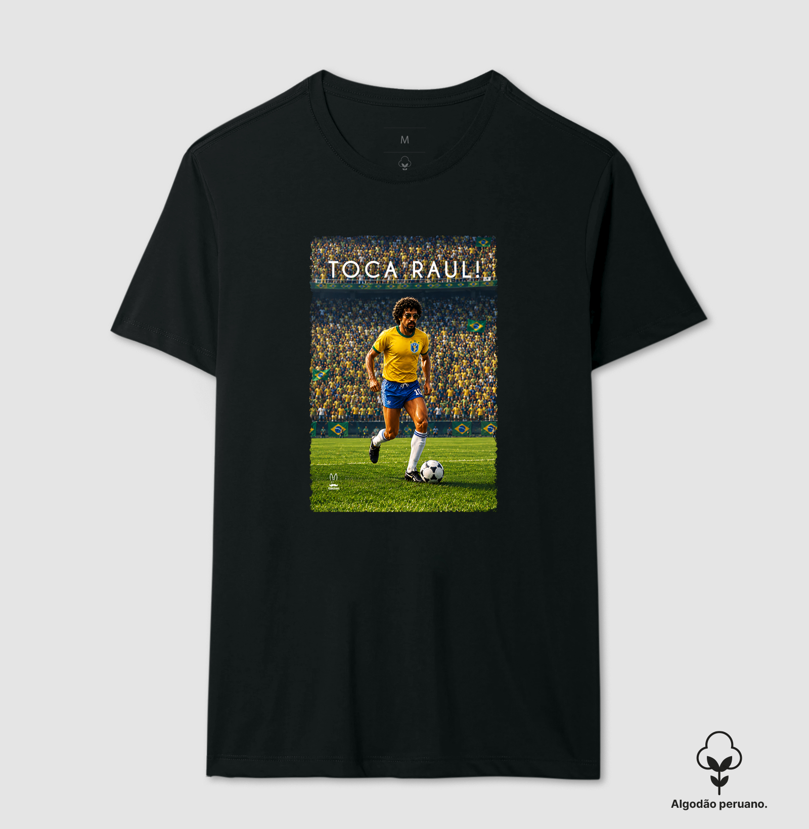 Toca Raul - Brasil!