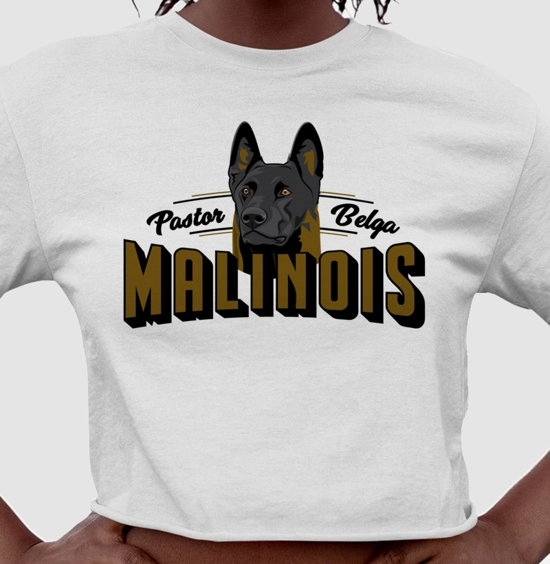 Pastor Belga Malinois 02