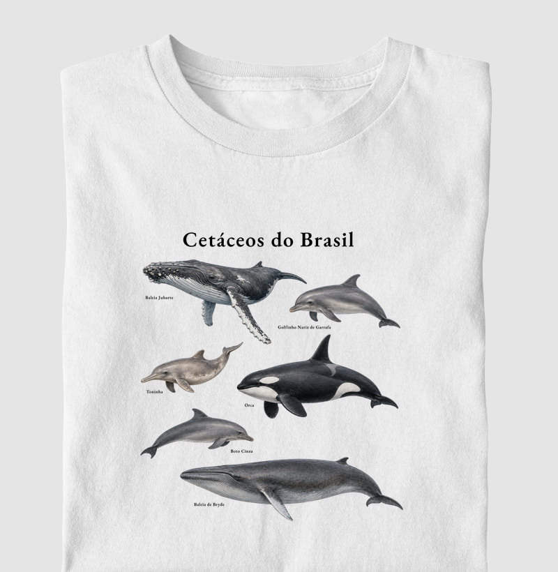 Cetáceos do Brasil
