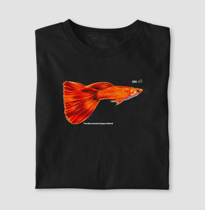 Poecilia reticulata (Guppy Full Red)