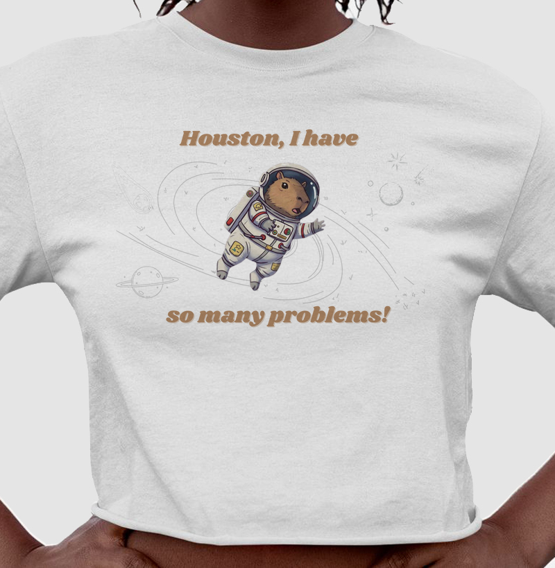 Houston, I have so many problems!