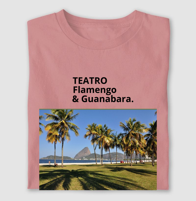 TEATRO, FLAMENGO, GUANABARA