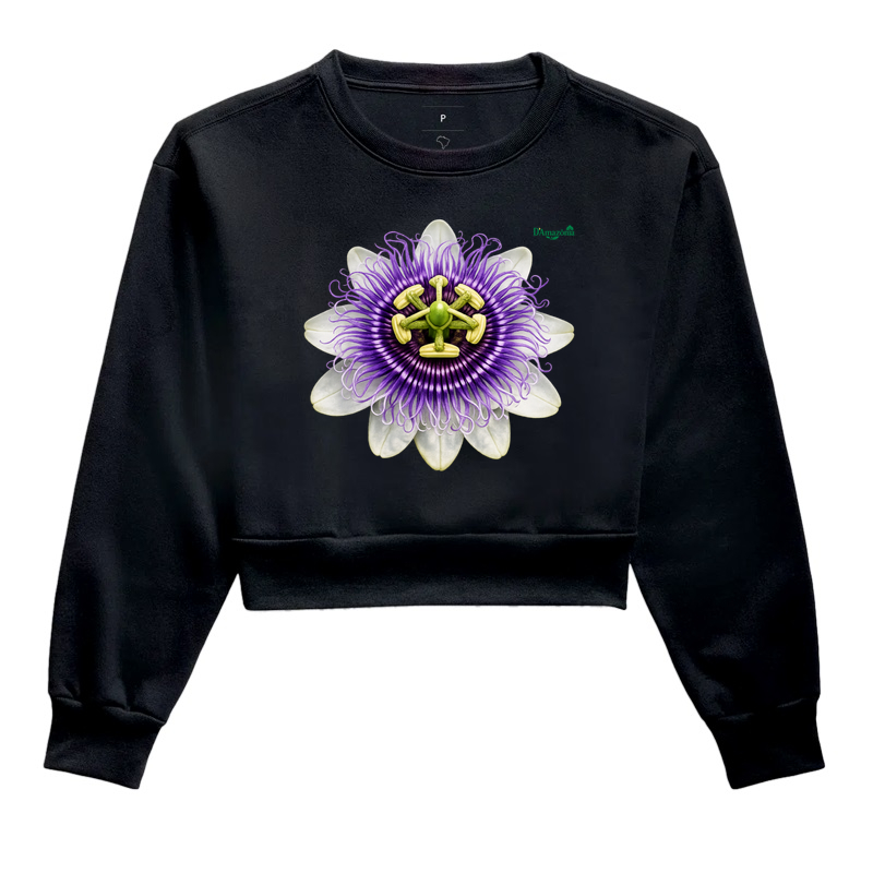 Flor da paixão