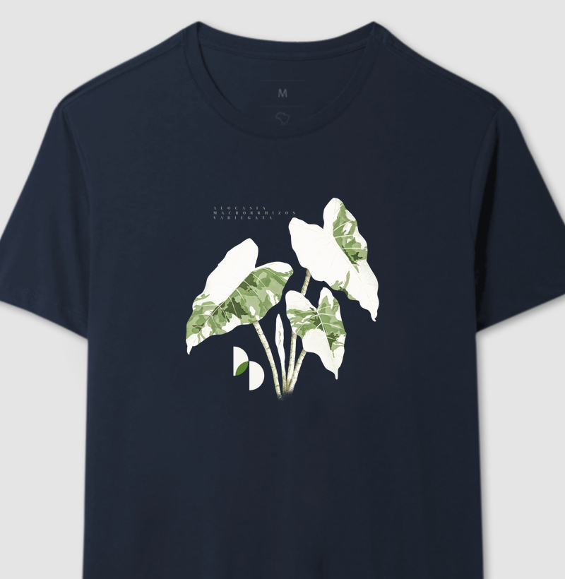 Alocasia Macrorrhizos Variegata