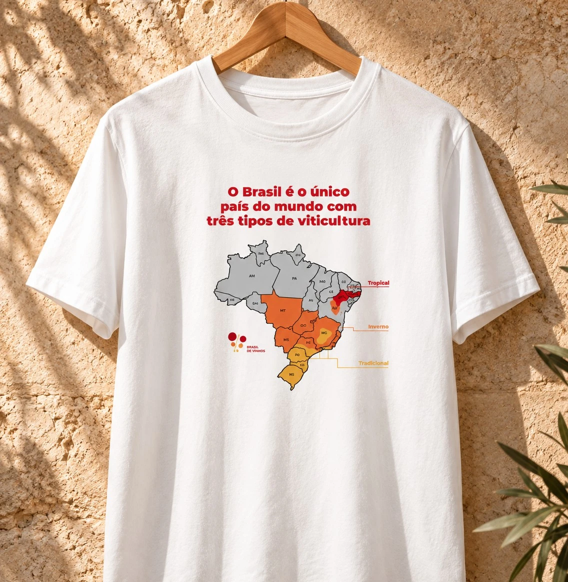 Camiseta Mapa - Brasil de Vinhos