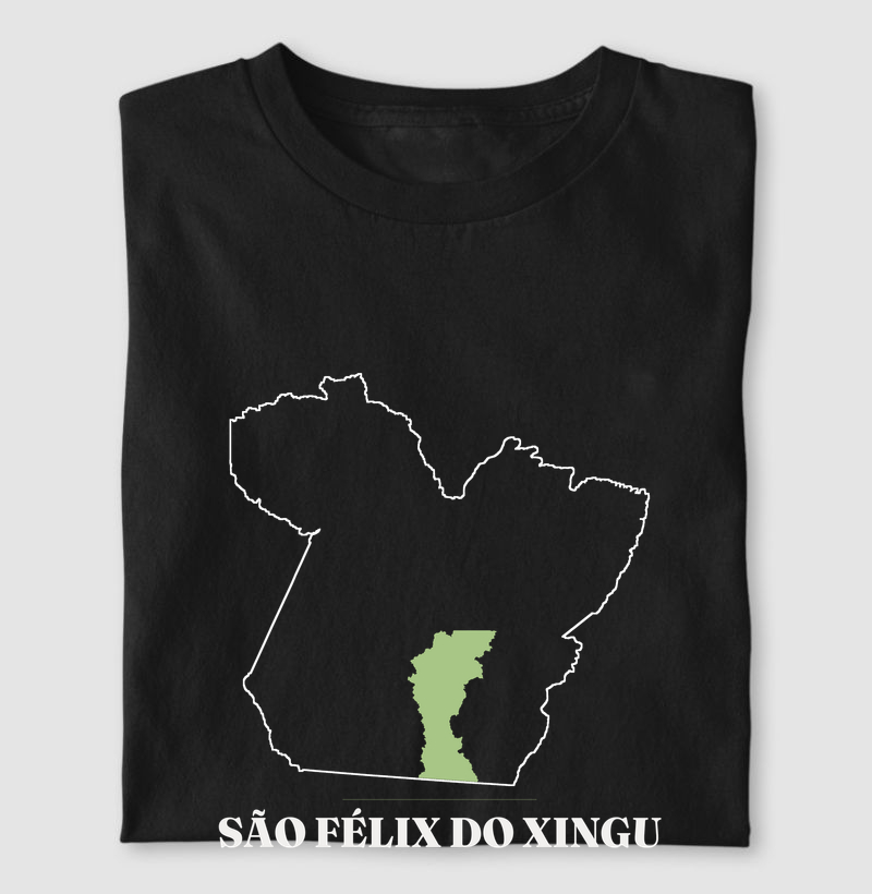 São Félix do Xingu | Traço PA