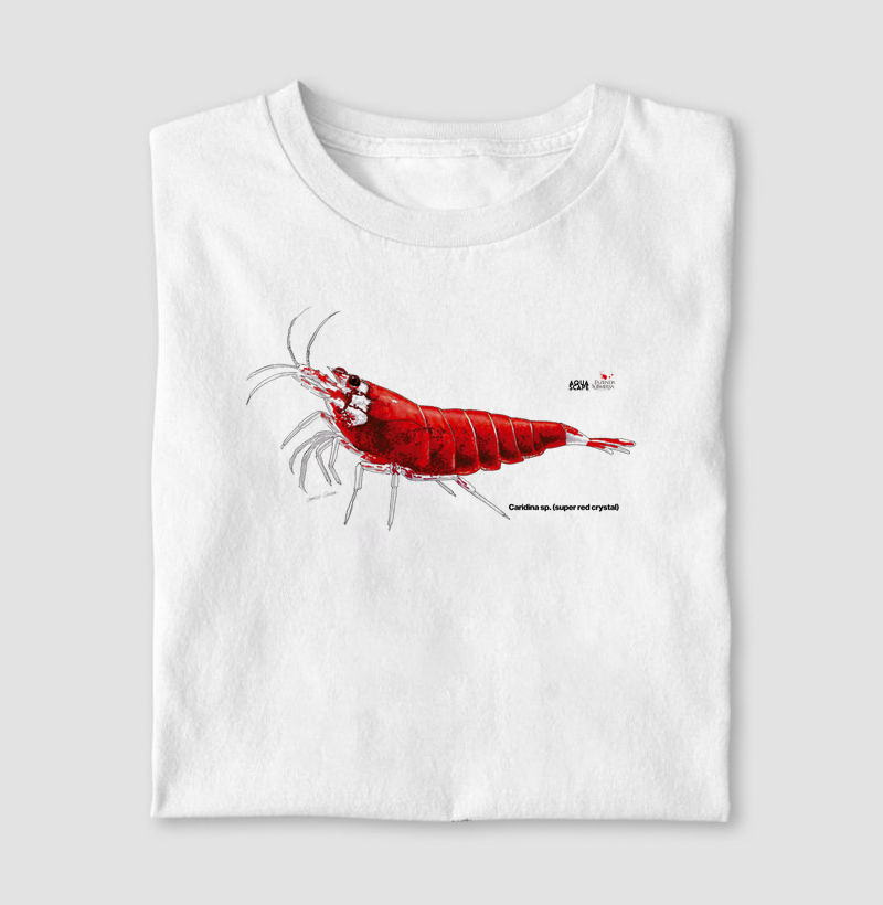 Camarão - Caridina sp. (super red crystal)