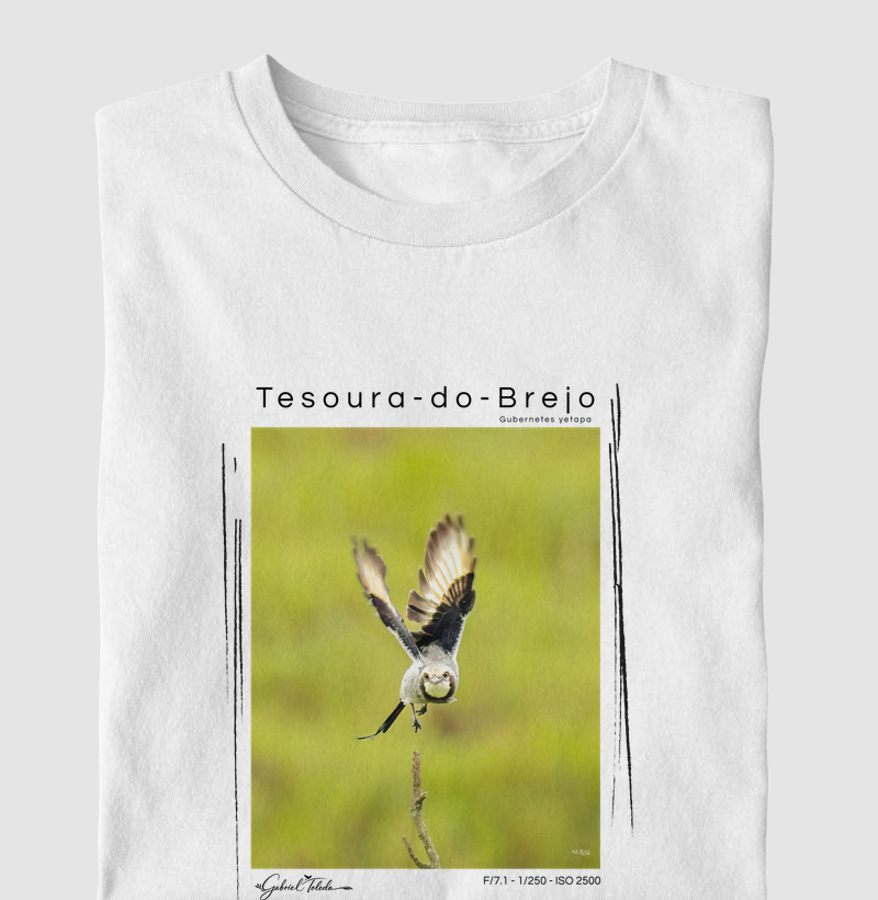 Tesoura-do-Brejo