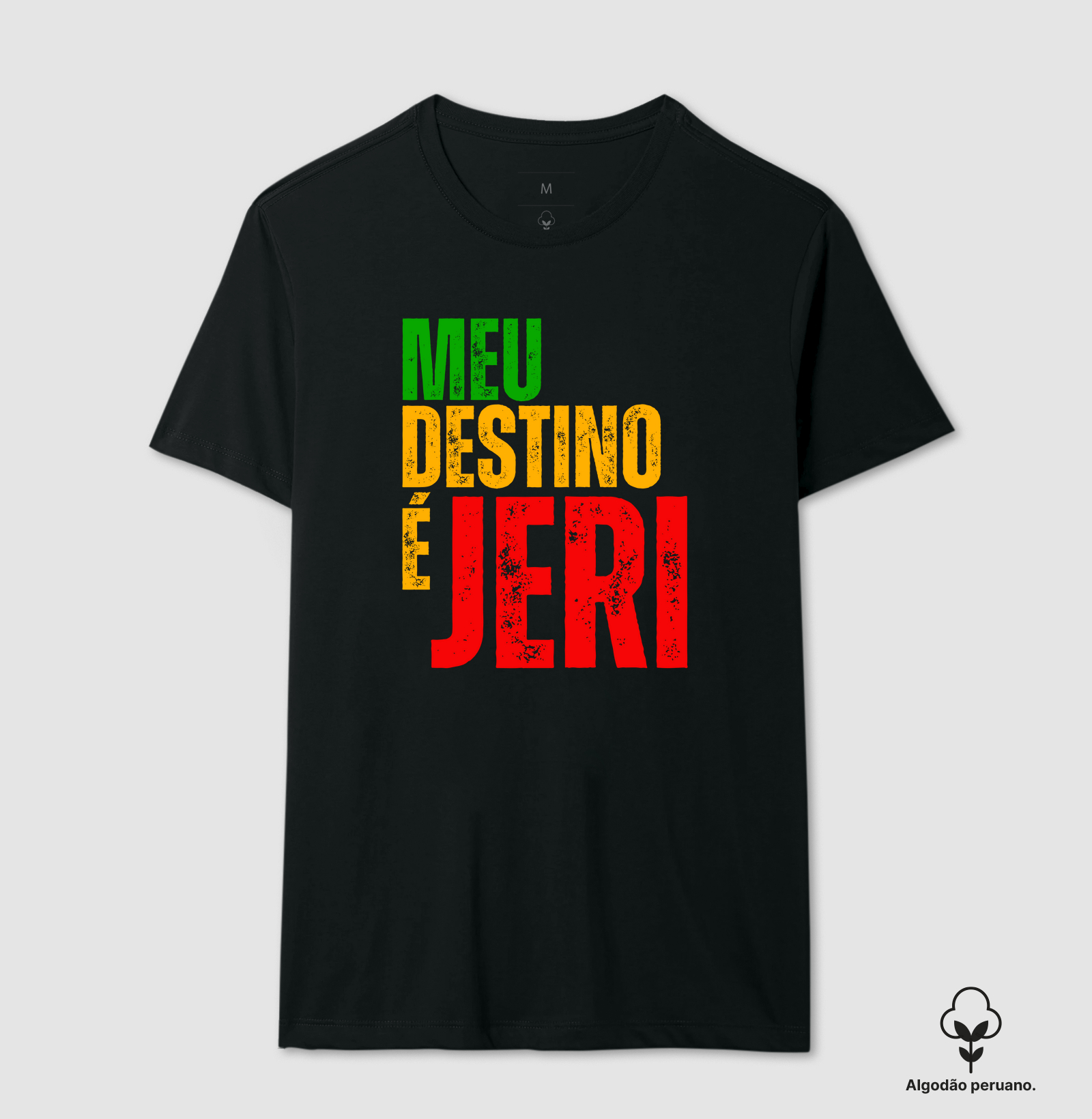 Meu destino é Jeri