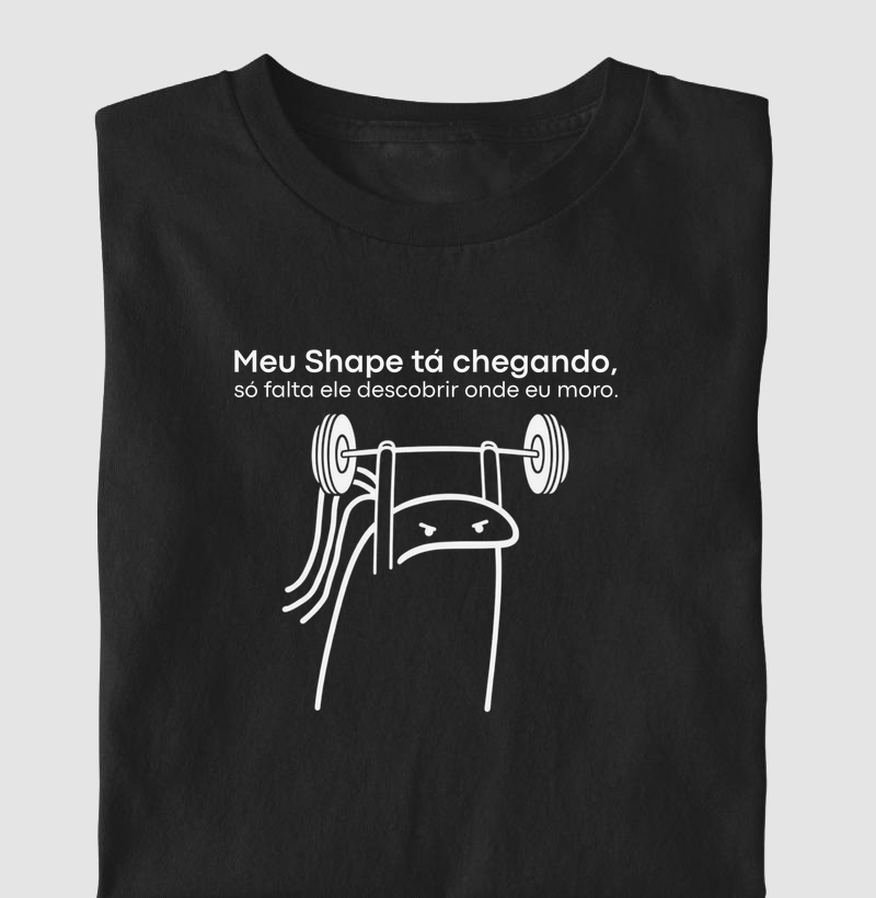 Meu Shape está chegando 2