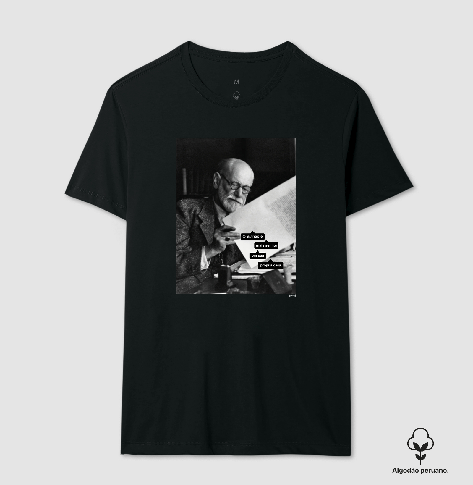 freud o eu não é mais senhor em sua própria casa.