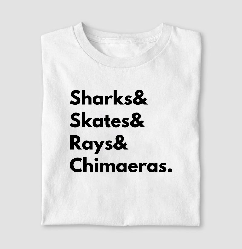 Chondrichthyes