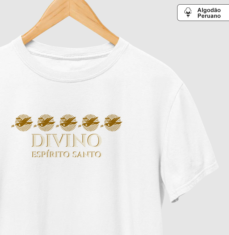 Festa do Divino de Turmalina 2026