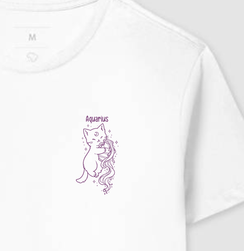 signo - aquário
