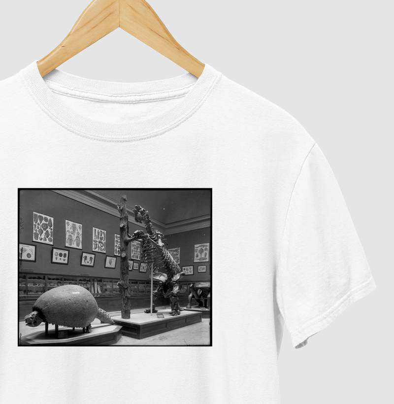 Field Columbian Museum III (1894–1920)