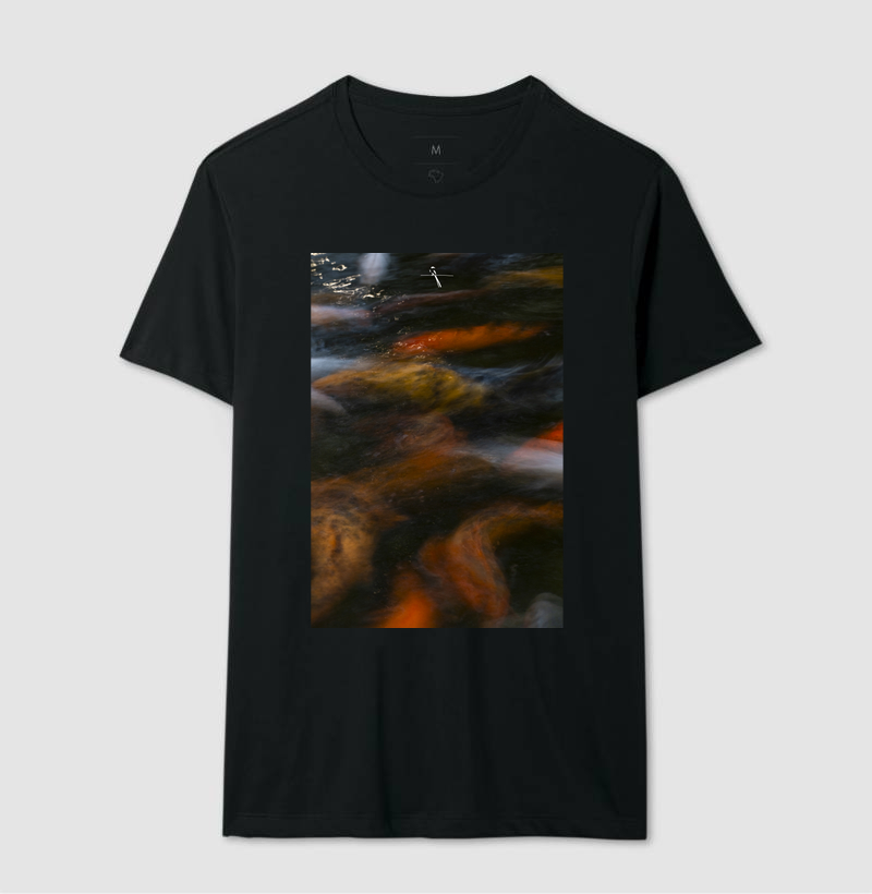 Koi #02