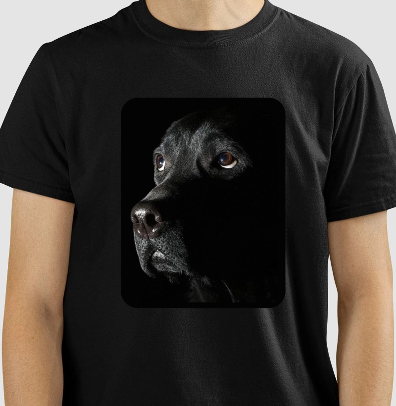 Dog Back in Black