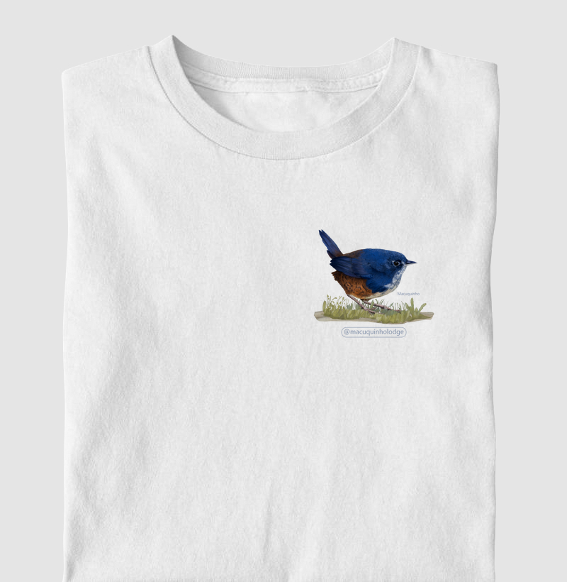 Colab Rev&Mac - Macuquinho Mini