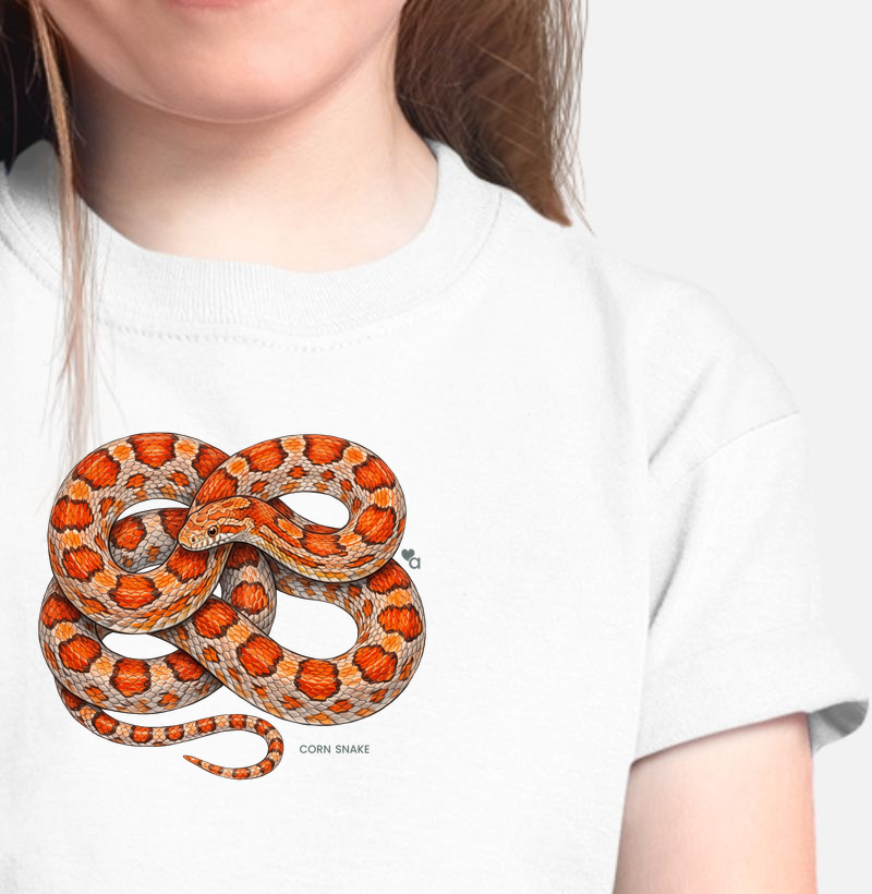 Répteis - Corn Snake - Infantil