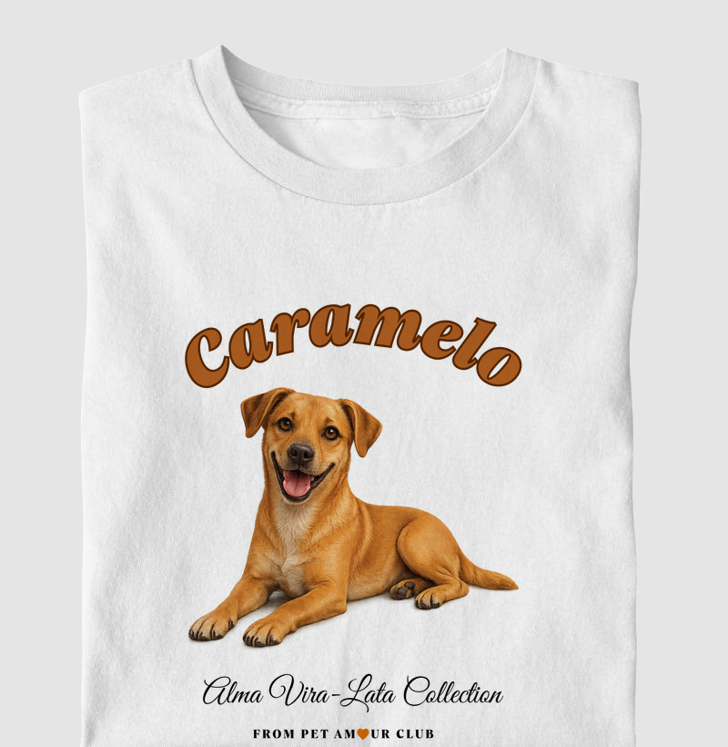 Vira-lata Caramelo