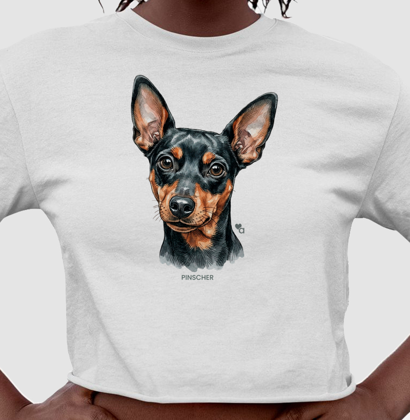 Cães - Pinscher - Cropped