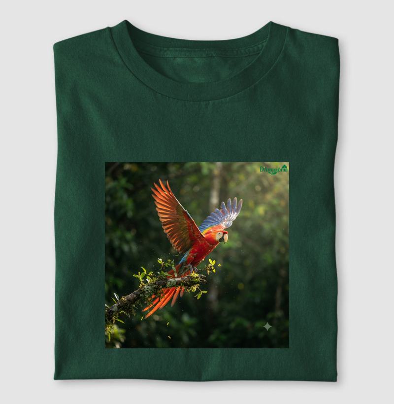 O voo da Arara