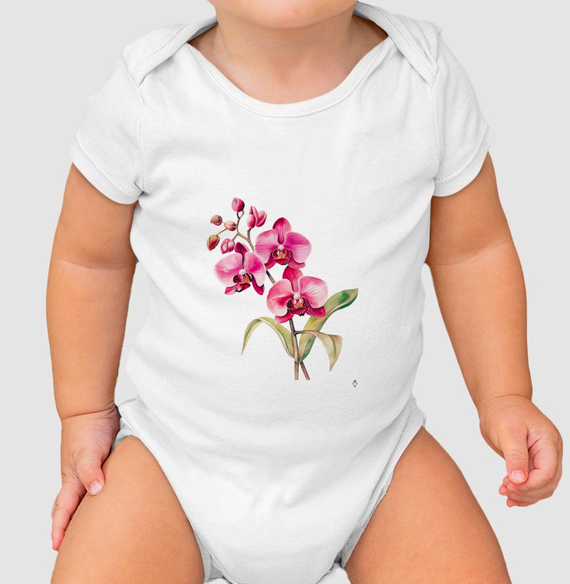 Coleção Orquídeas