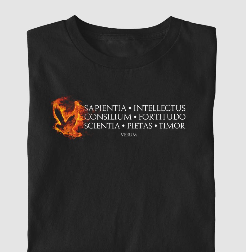 Camiseta Dons do Espírito Santo – Sapientia et Fortitudo | Camiseta Católica Verum