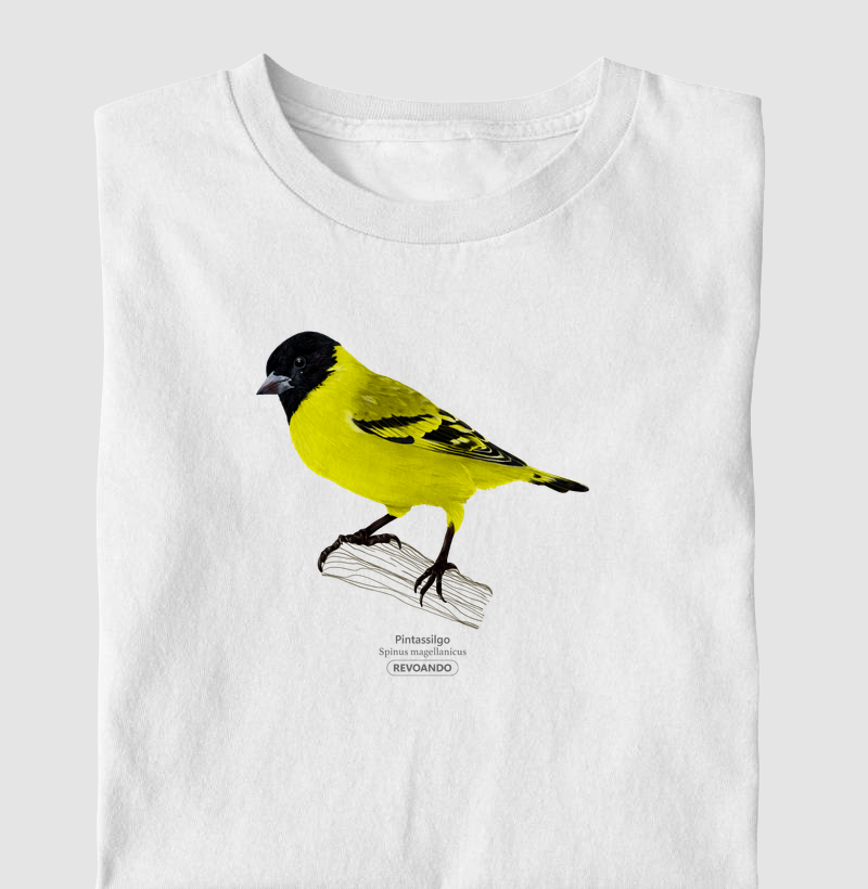 Inky Aves - Pintassilgo - Infantil