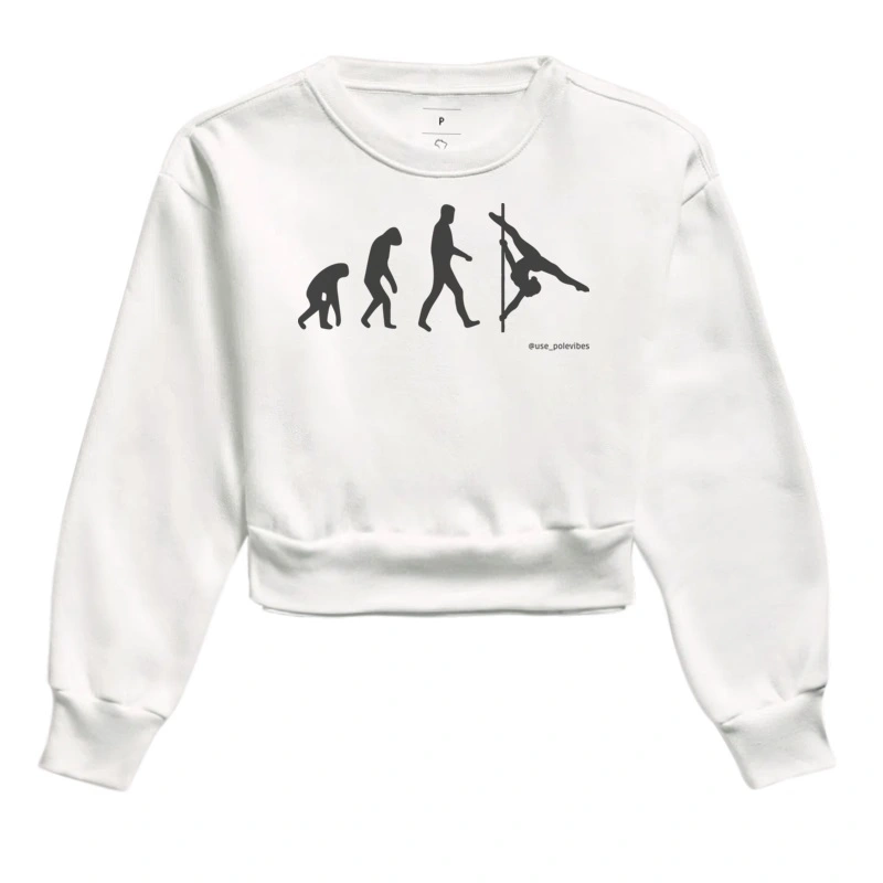 EVOLUÇÃO DO MOVIMENTO