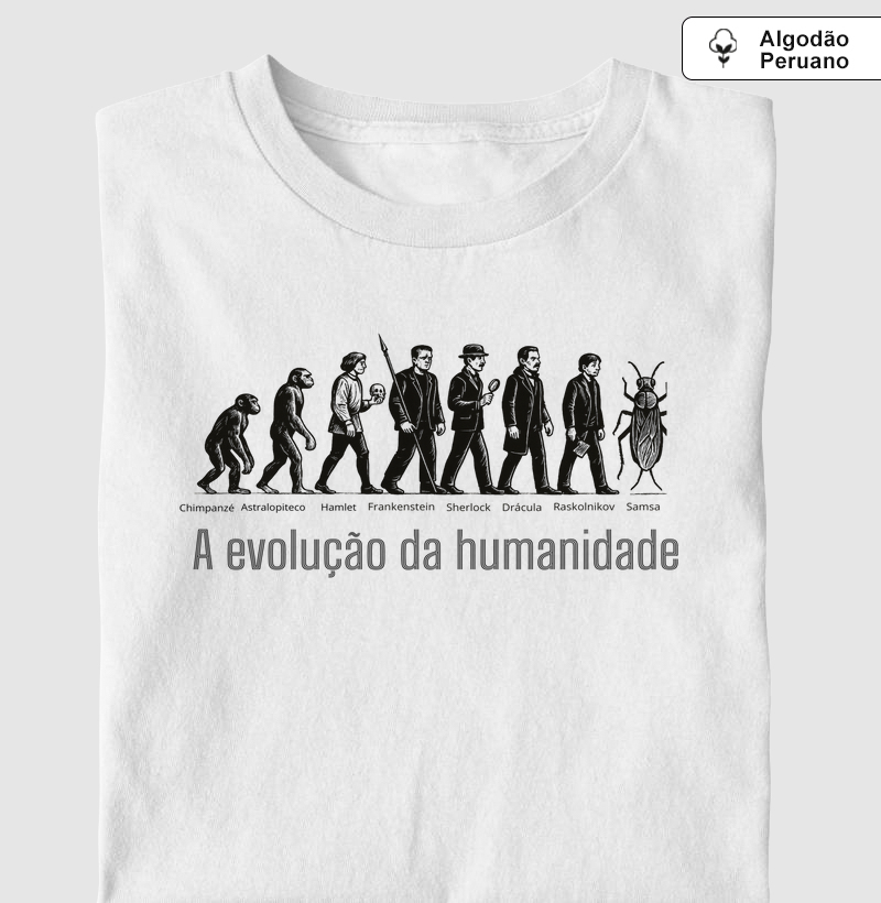 Evolução literária 