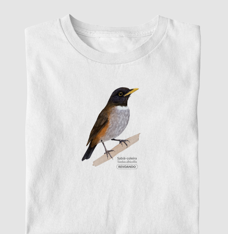 Aves do Brasil - Sabiá-coleira - Infantil
