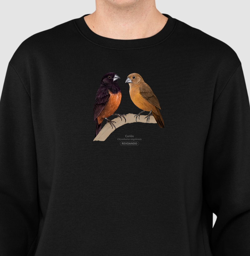 Aves do Brasil - Casal de Curiós - Moletom