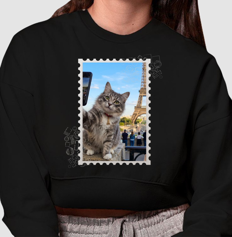 Travelling Cats - Paris