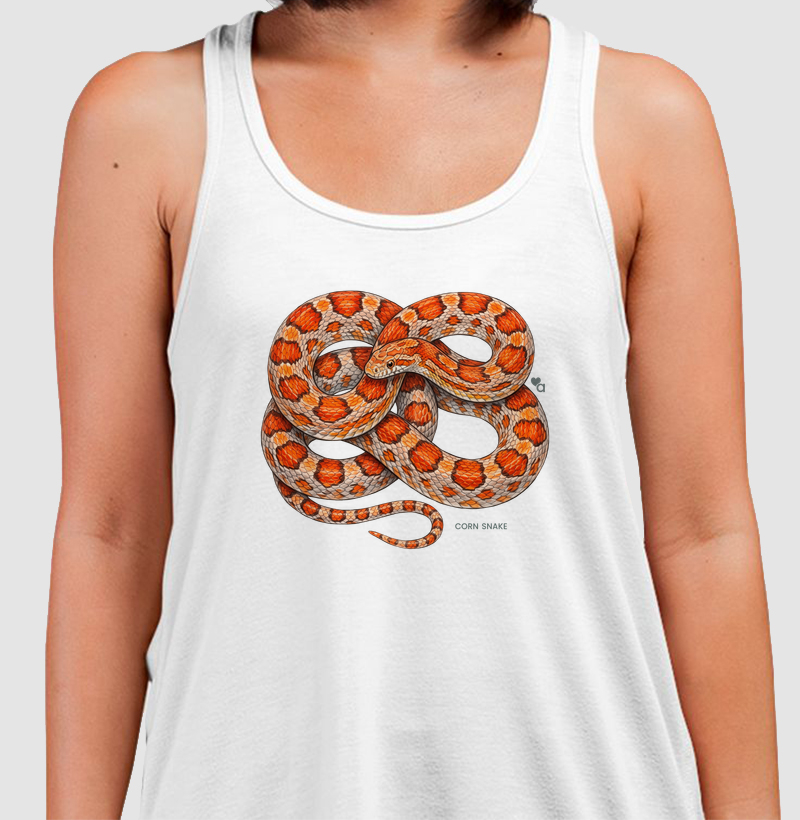 Répteis - Corn Snake - Regata