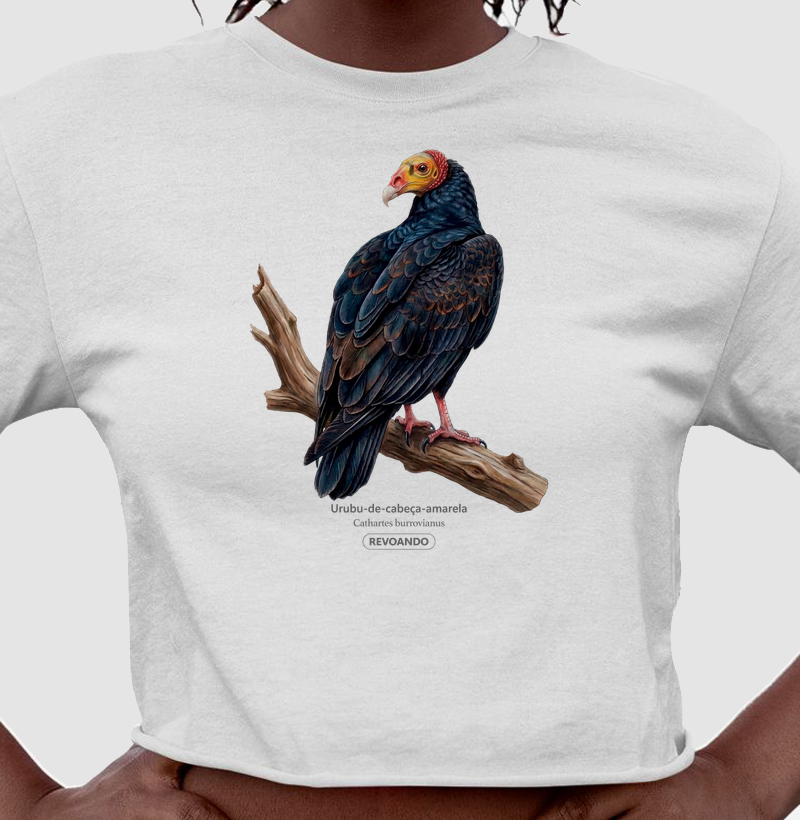 Traços Alados - Urubu-de-cabeça-amarela - Cropped