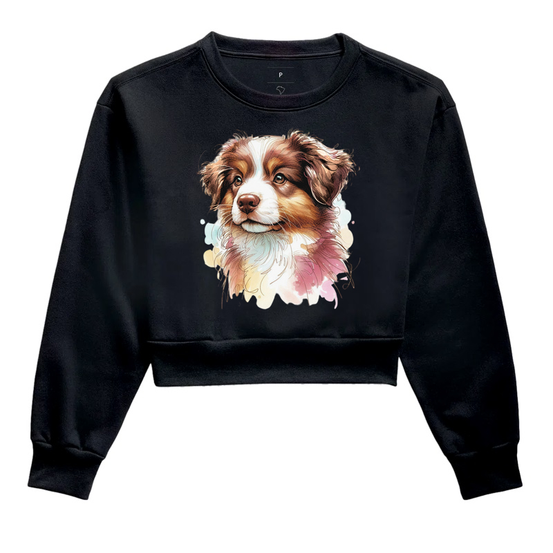 Australian Shepherd Red Merle Tricolor Puppy