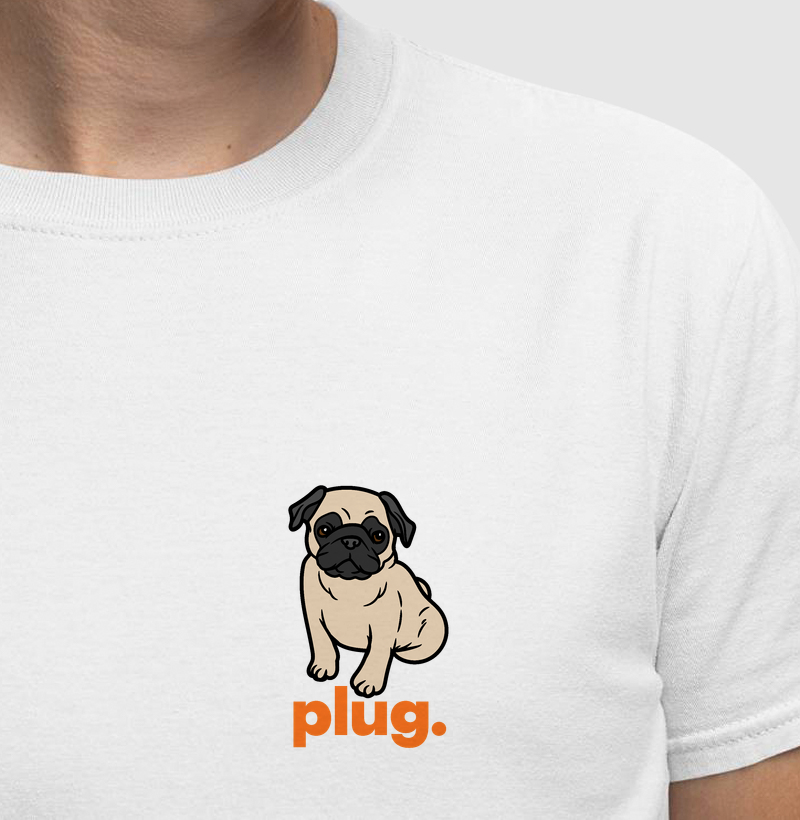 Plug