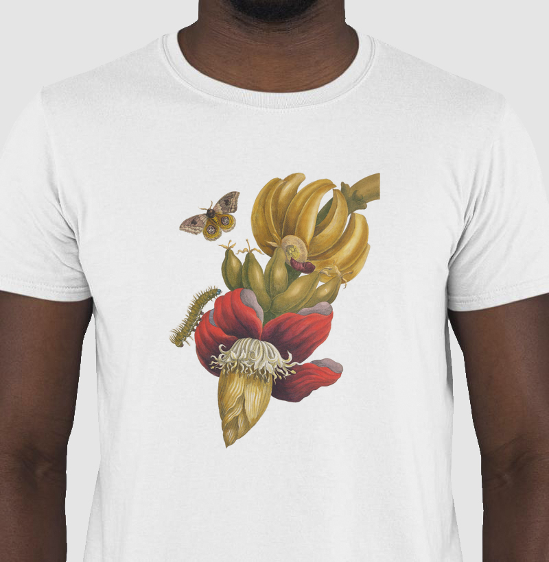 Metamorfose Natural (1705)