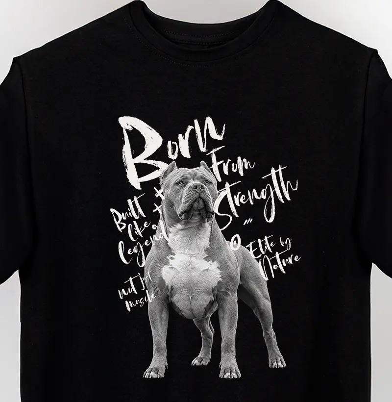 American Bully XL 