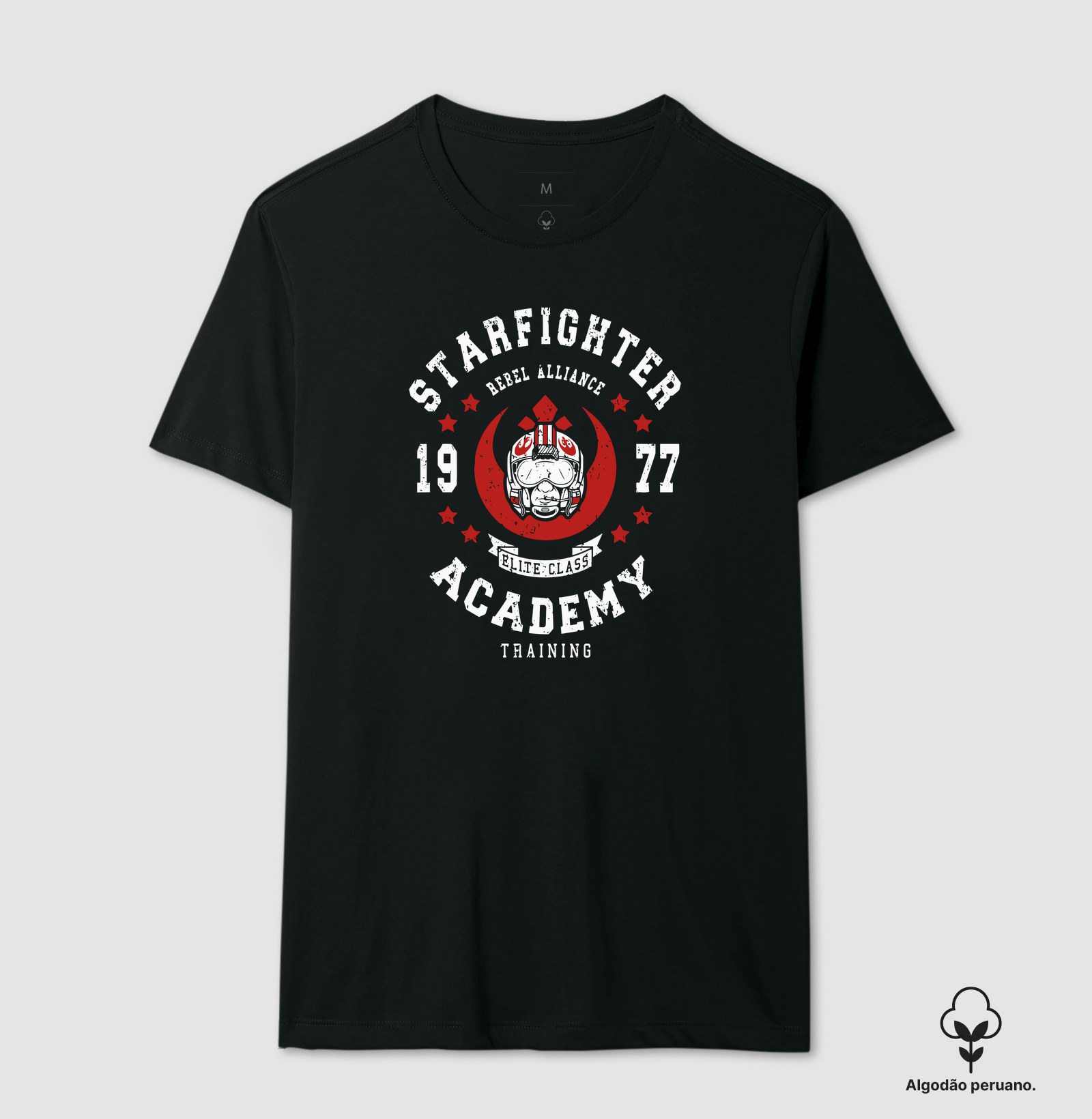 Starfighter Academy 1977