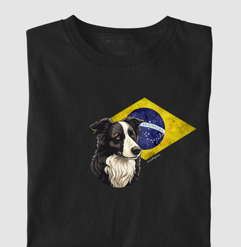 Border Collie Brasil
